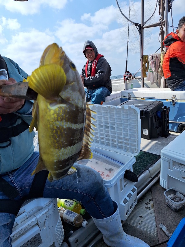 アオナ(アオハタ)