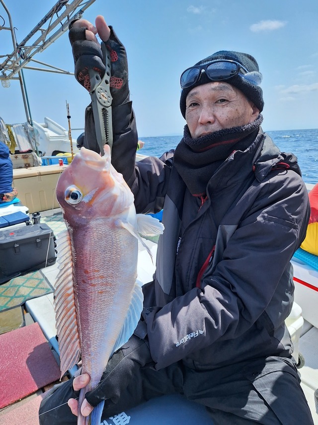 アマダイ(アカアマダイ)