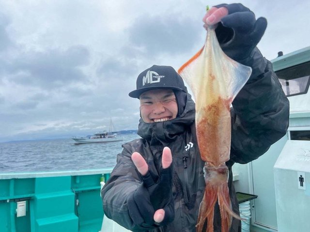 マルイカ(ケンサキイカ)