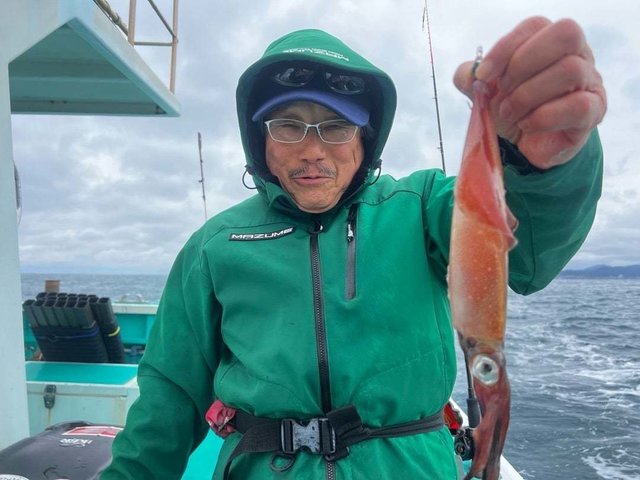 マルイカ(ケンサキイカ)