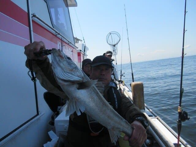 シーバス(スズキ)