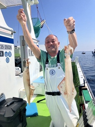 マルイカ(ケンサキイカ)