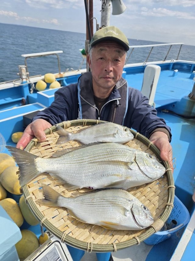 クロダイ・ヘダイ