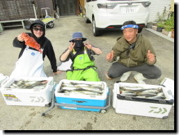 アジ(マアジ)・マサバ・カンコ(ウッカリカサゴ)