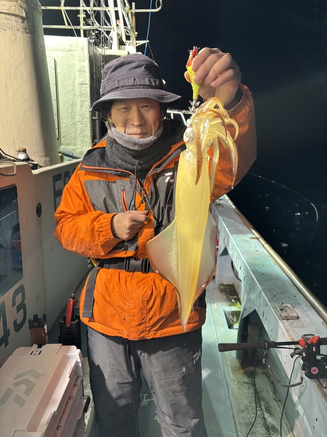 イカ(ヤリイカ)