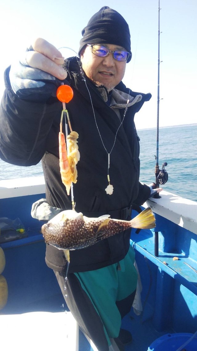 フグ(ショウサイフグ)