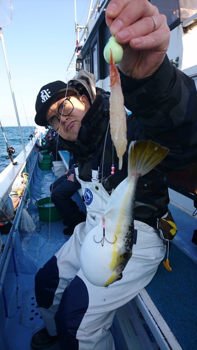 ショウサイフグ