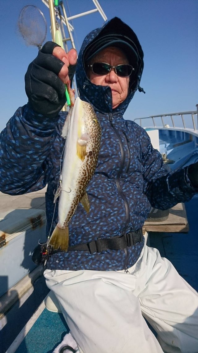 ショウサイフグ