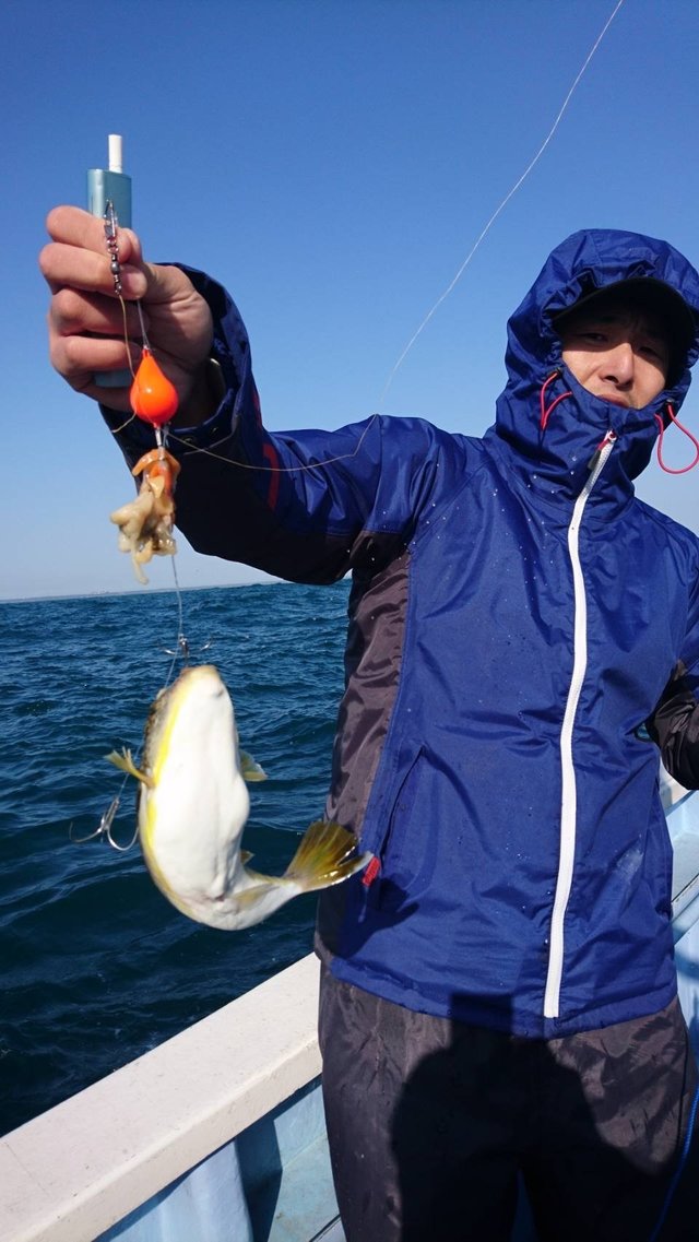 ショウサイフグ