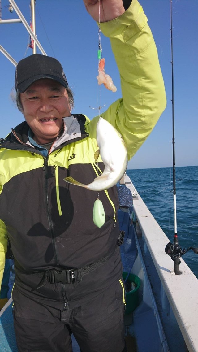 ショウサイフグ