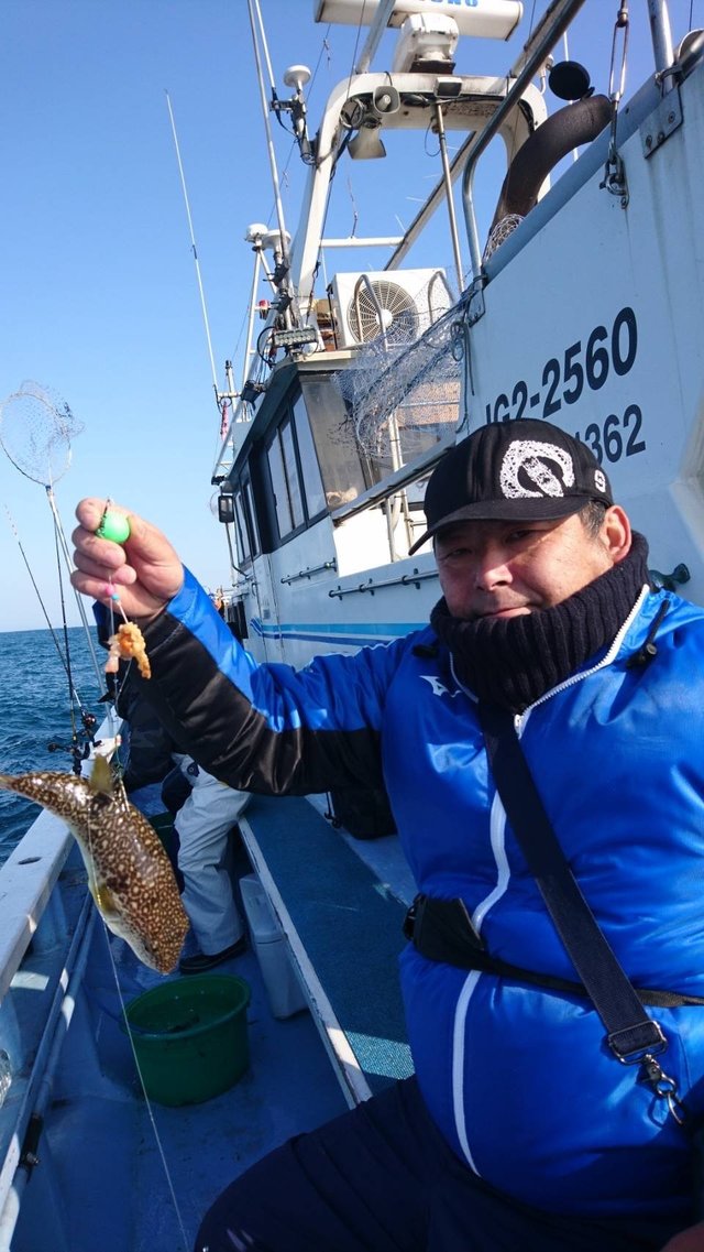 ショウサイフグ