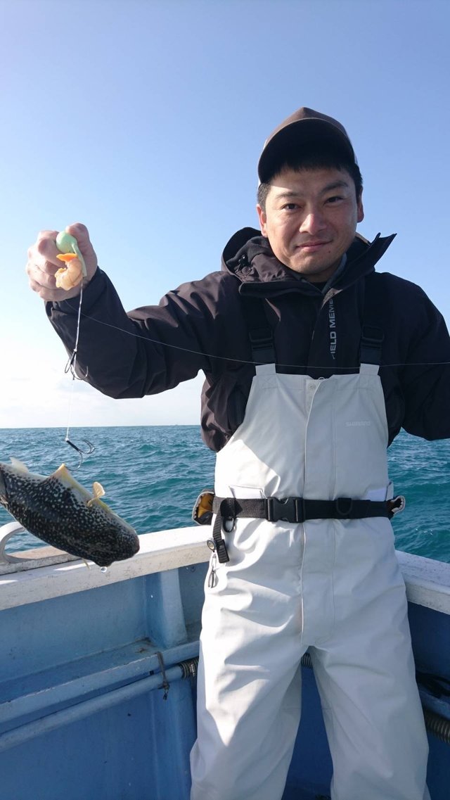 ショウサイフグ