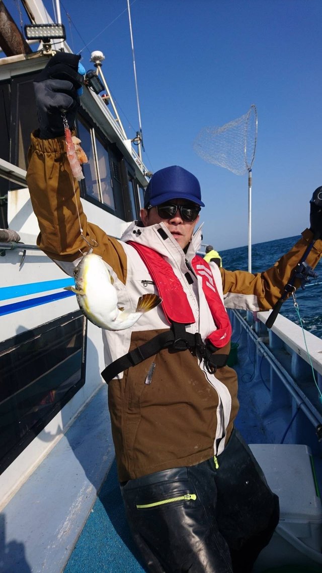 ショウサイフグ