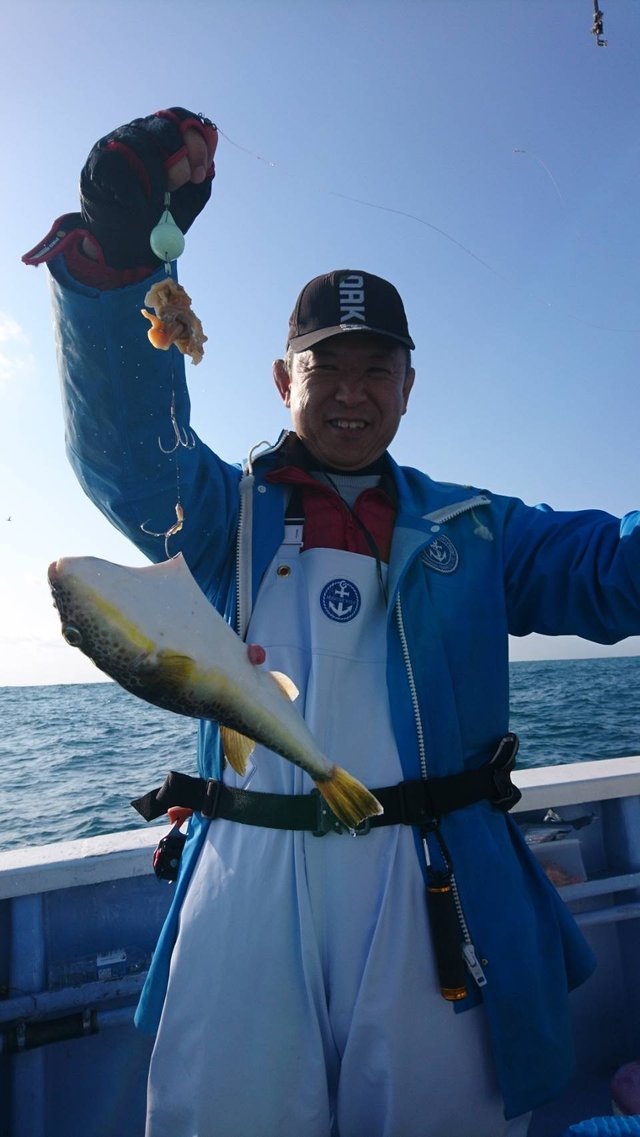 ショウサイフグ