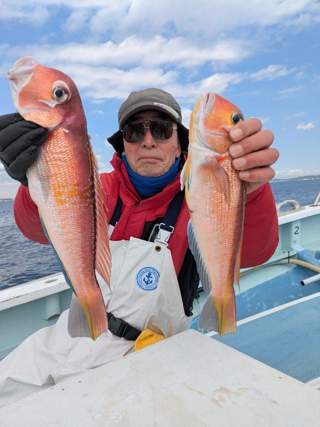 アマダイ(アカアマダイ)