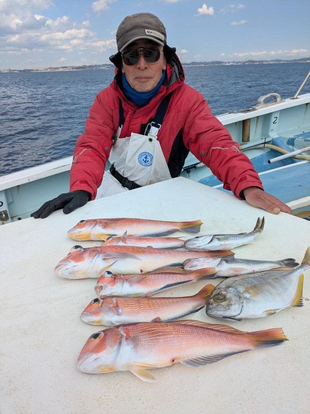 アマダイ(アカアマダイ)