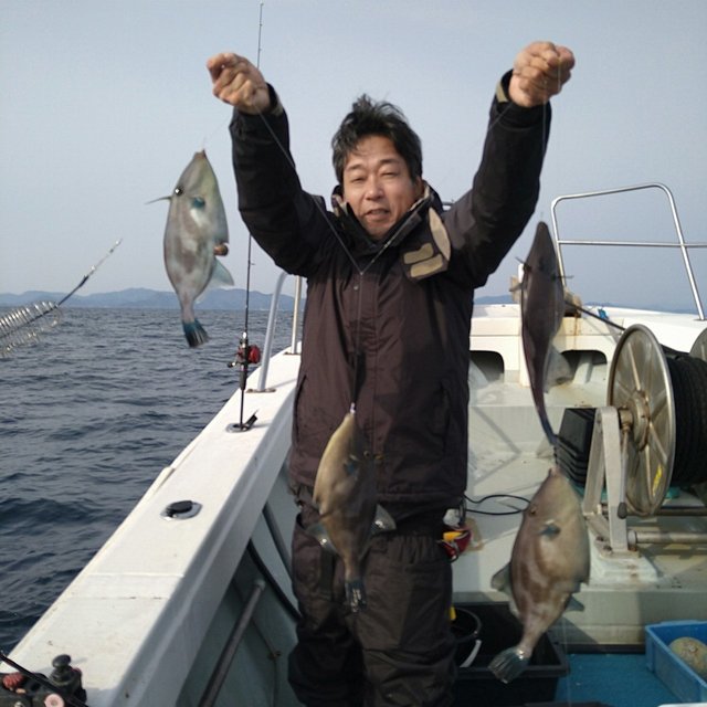 ウマヅラ(ウマヅラハギ)