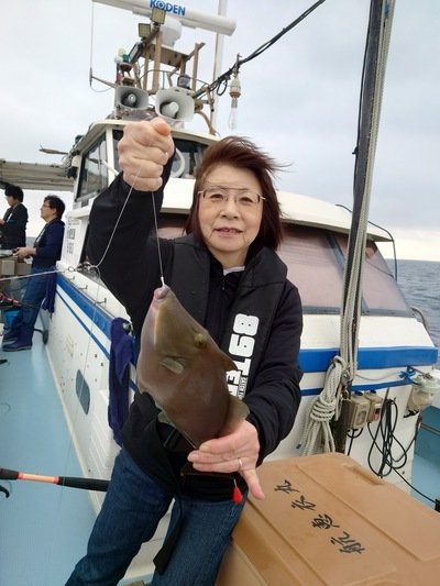 ウマヅラ(ウマヅラハギ)