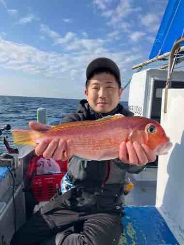 アマダイ(アカアマダイ)