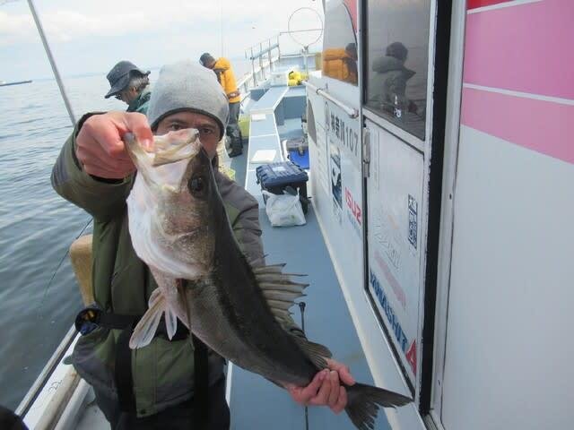 シーバス(スズキ)