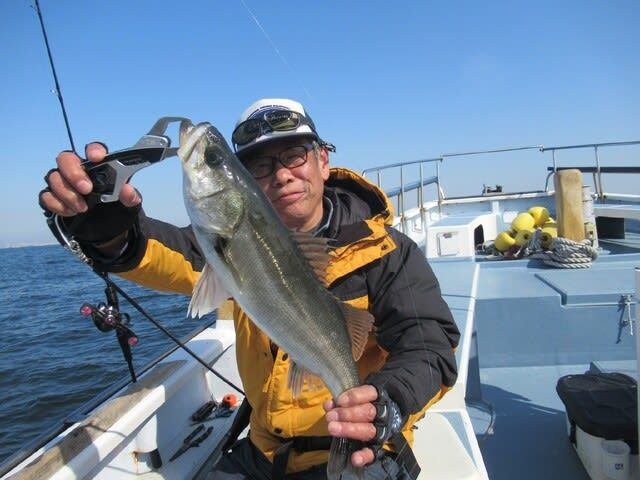 シーバス(スズキ)