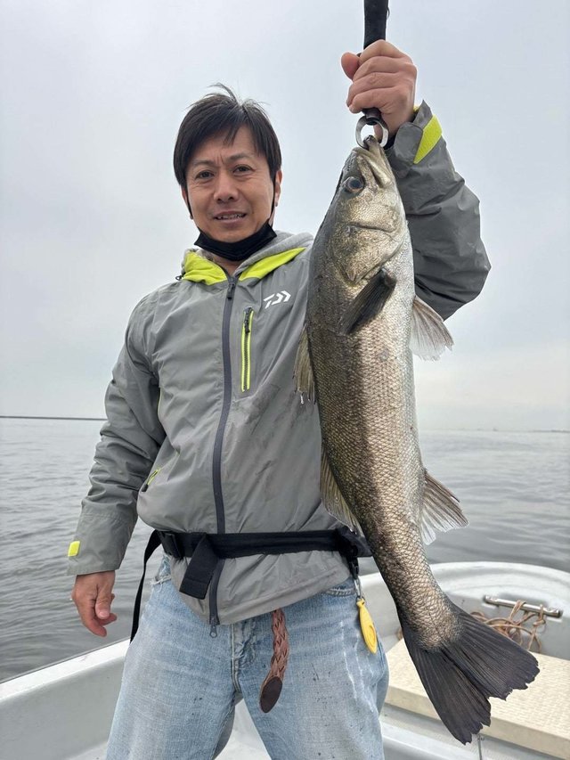 シーバス(スズキ)