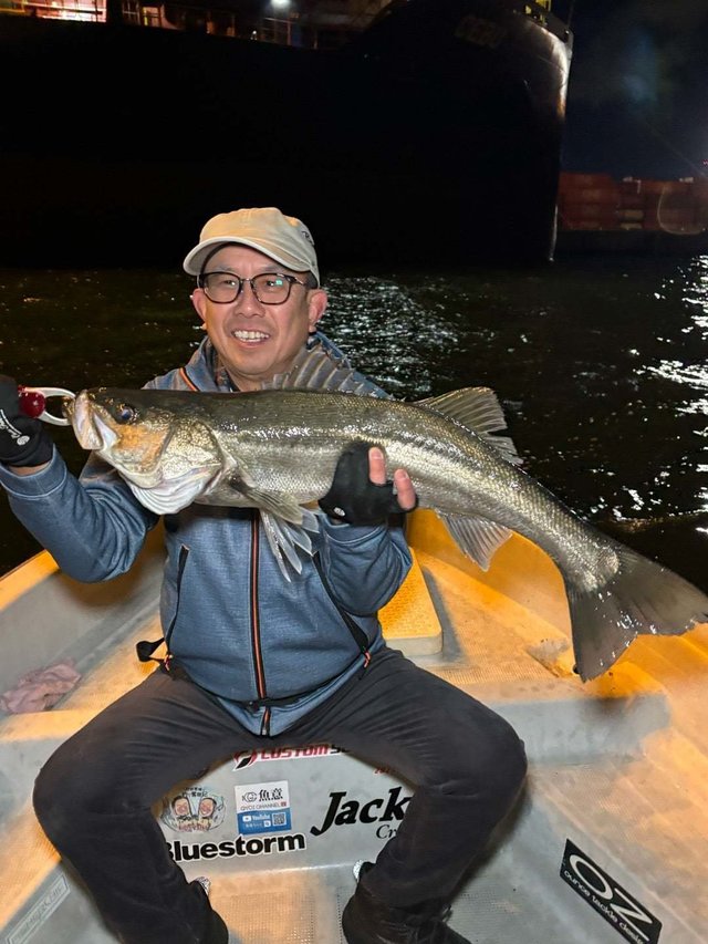 シーバス(スズキ)