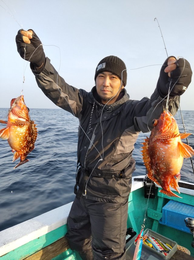 ガシラ(カサゴ)