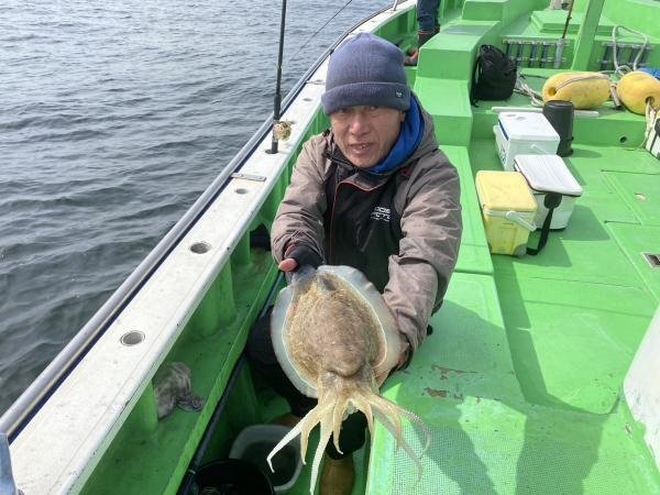 モンゴウ(カミナリイカ)