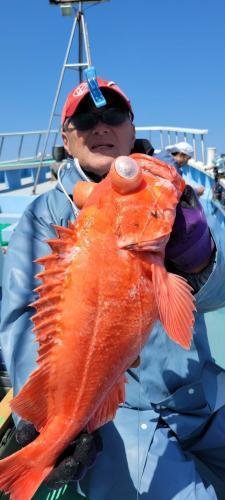 メヌケ(アコウダイ)