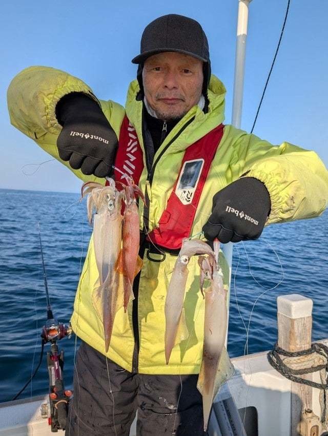 ケンサキイカ・ヤリイカ