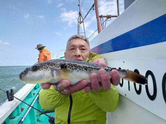 ショウサイフグ