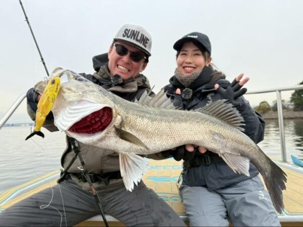 シーバス(スズキ)