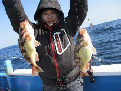 アカメバル(メバル)