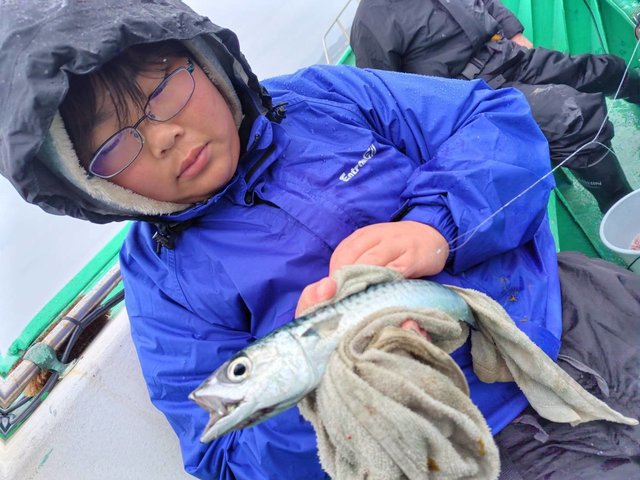 サバ(ゴマサバ)