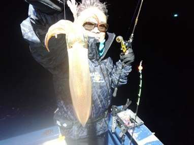 マイカ(ケンサキイカ)