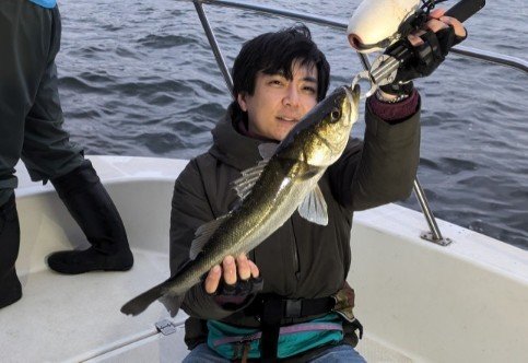 シーバス(スズキ)