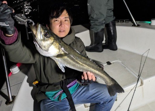 シーバス(スズキ)