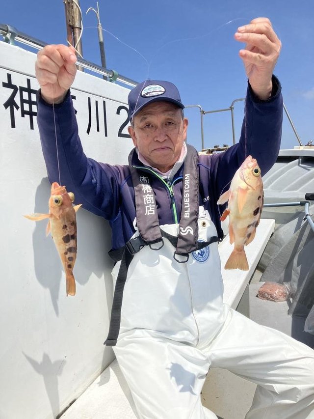 オキメバル(ウスメバル)