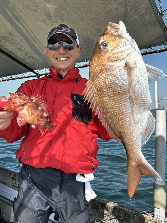 マダイ・ガシラ(カサゴ)