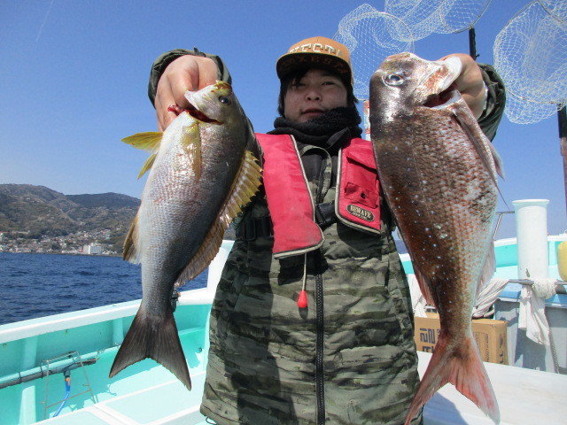 メジナ・イサキ