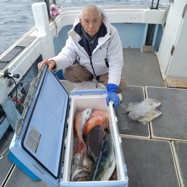 マダイ・オナガグレ(クロメジナ)・ヤズ(ブリ)・イサキ・メダイ