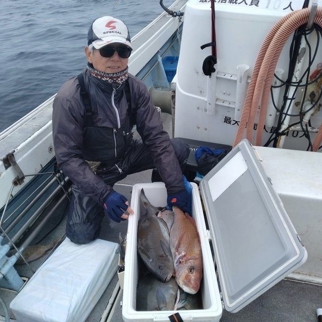 マダイ・メダイ