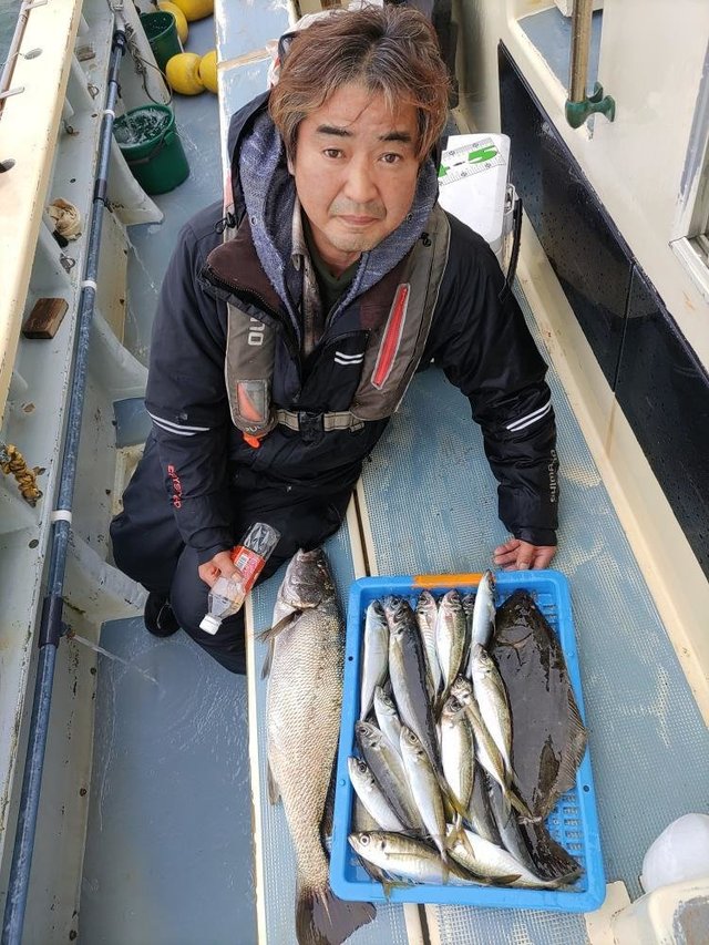 アジ(マアジ)・オオニベ・ヒラメ