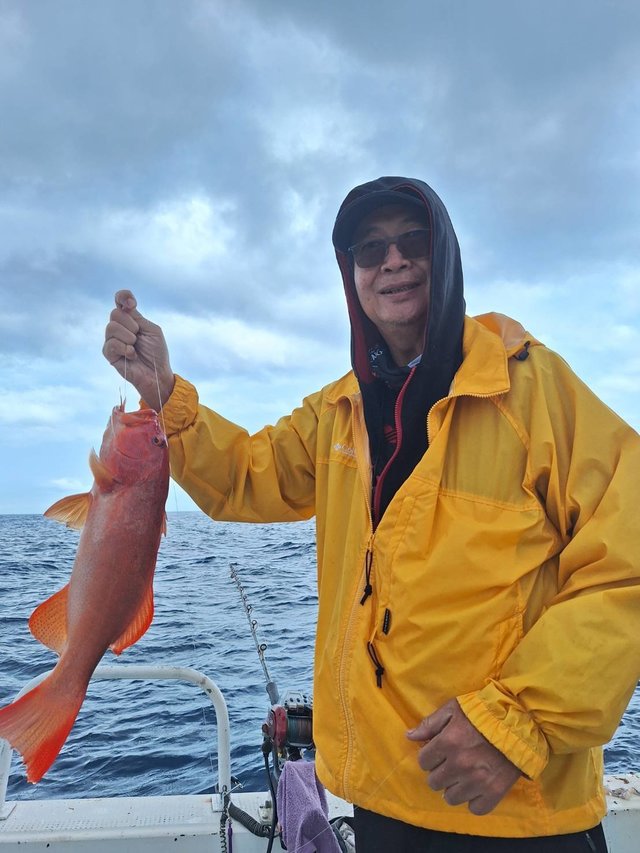 アカジン(スジアラ)