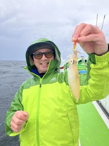 マルイカ(ケンサキイカ)