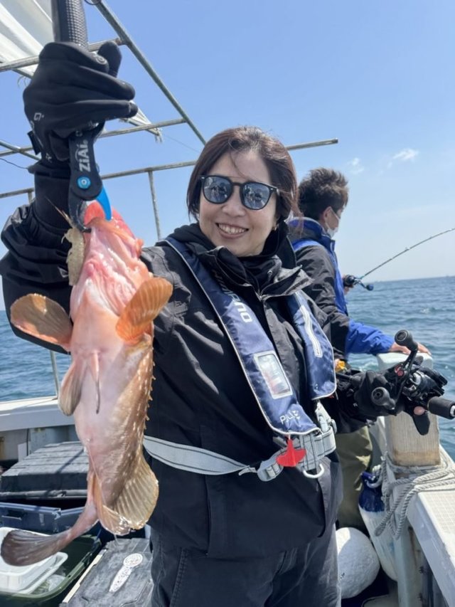 アコウ(キジハタ)