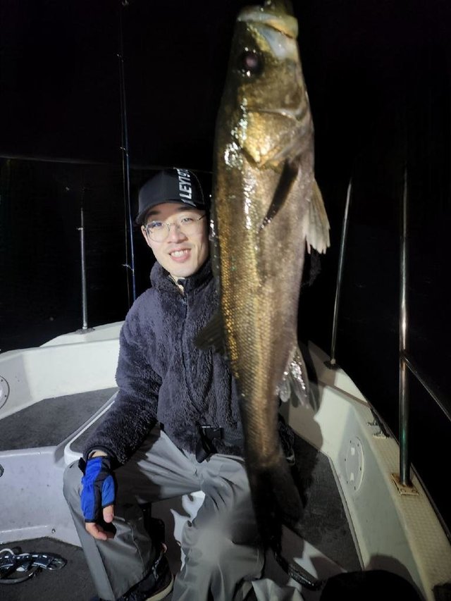 シーバス(スズキ)