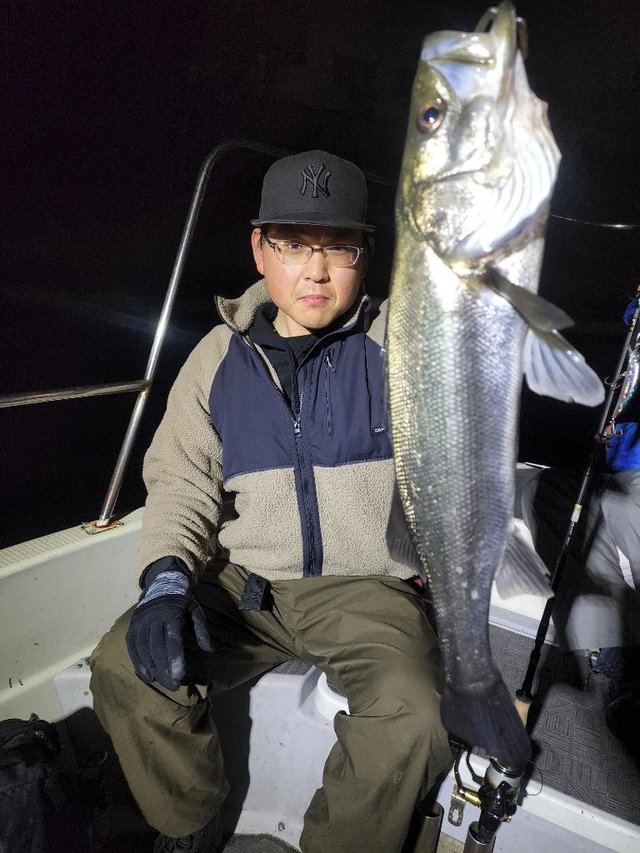 シーバス(スズキ)