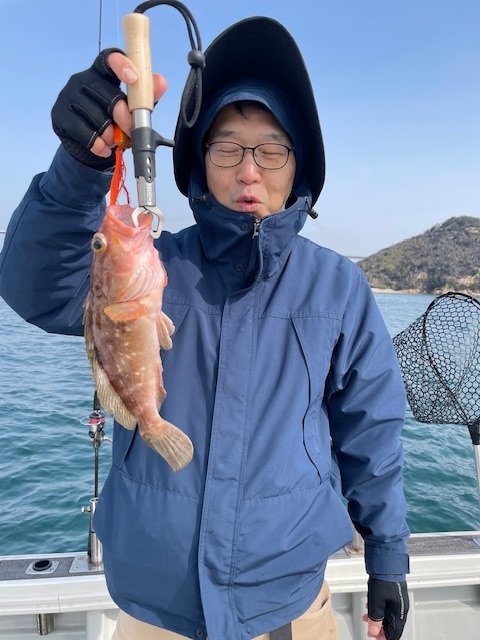 アコウ(キジハタ)